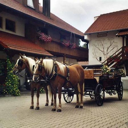 Appartementhaus "Haflinger Hof" Bad Füssing Esterno foto