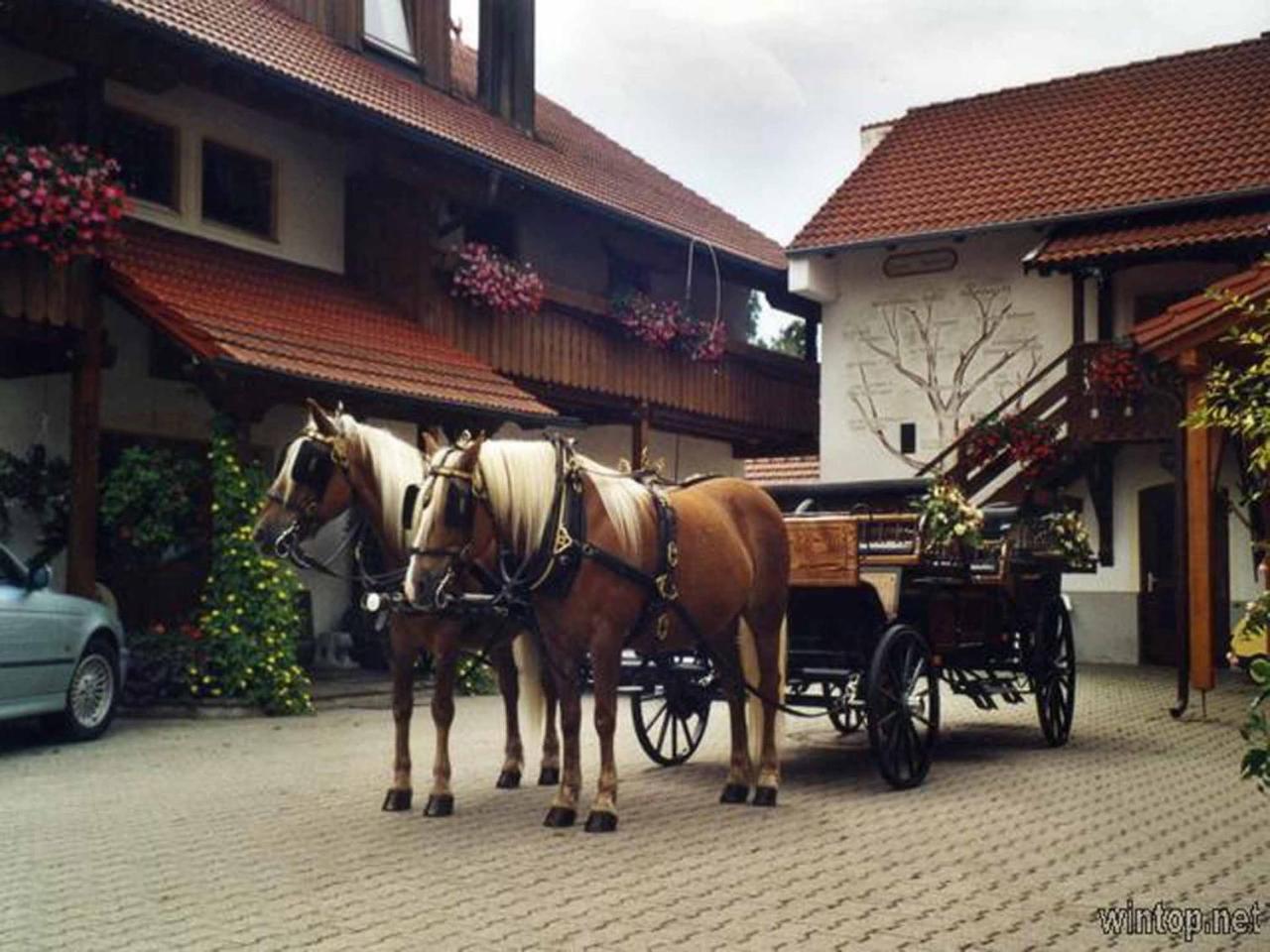 Appartementhaus "Haflinger Hof" Bad Füssing Esterno foto